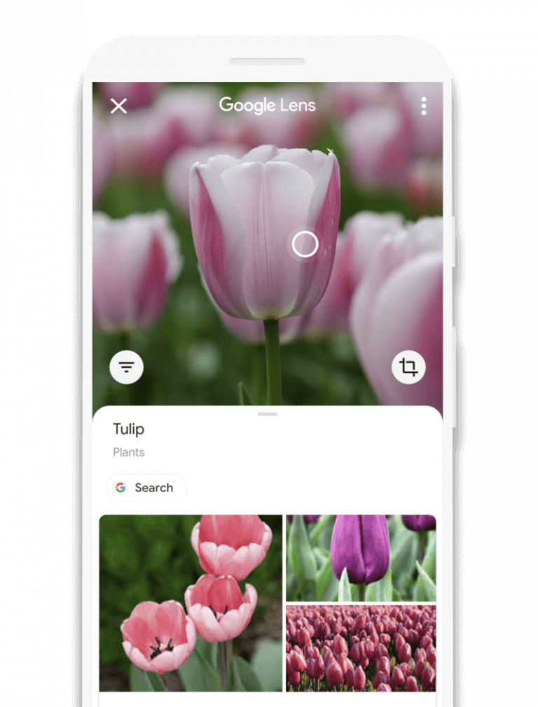 visual-search-6-768x1010.png