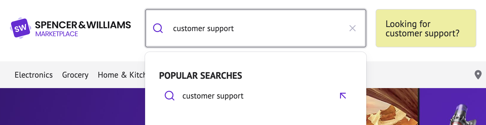 non-product-searches.png