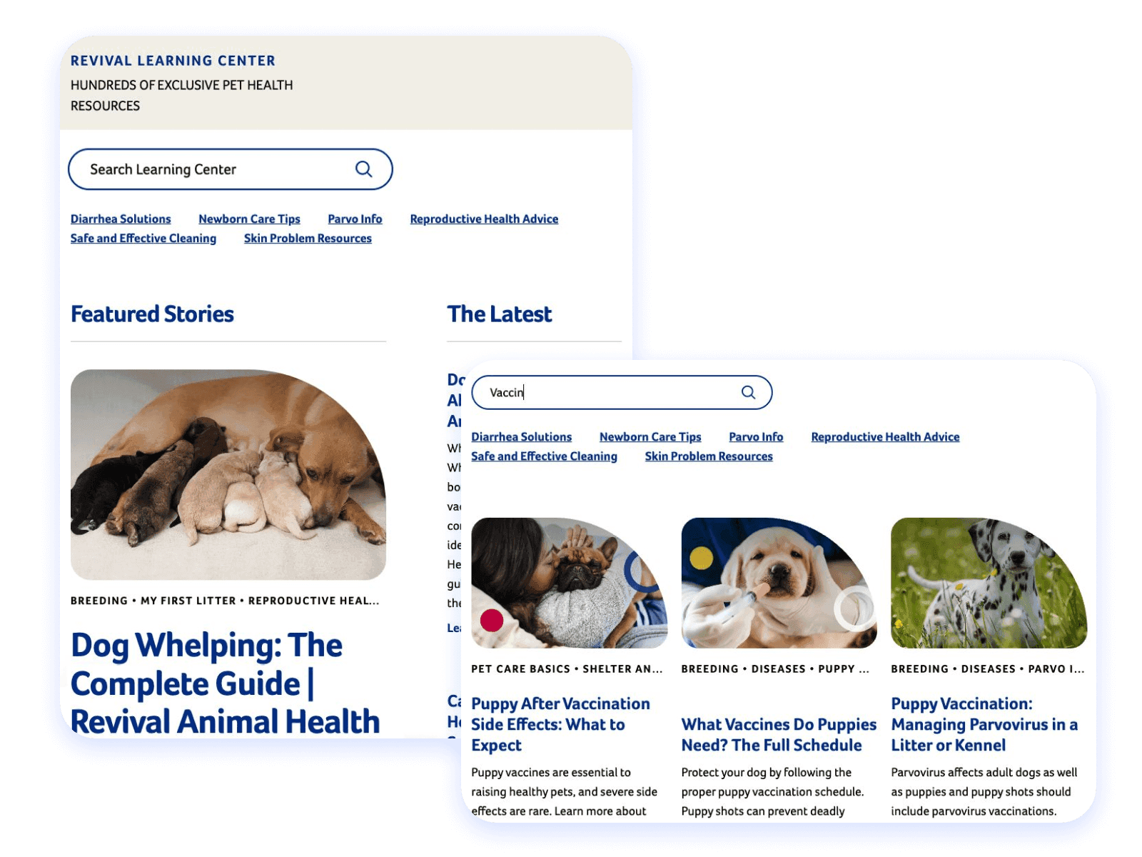 14-image-Revival-Animal-3.png