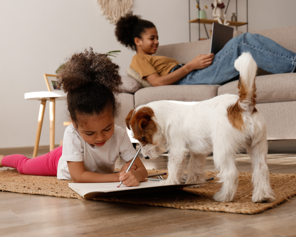 petsmart-landing-image-2.png